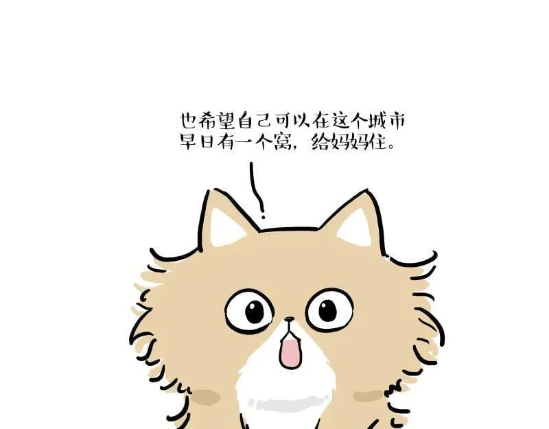 第424话 话痨小猫2