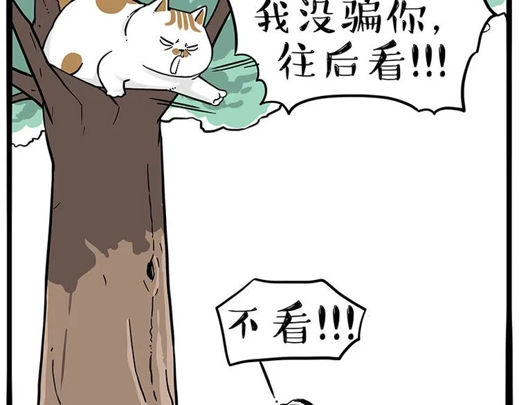 吾皇巴扎黑漫画,第271话 进击的流浪猫！4图