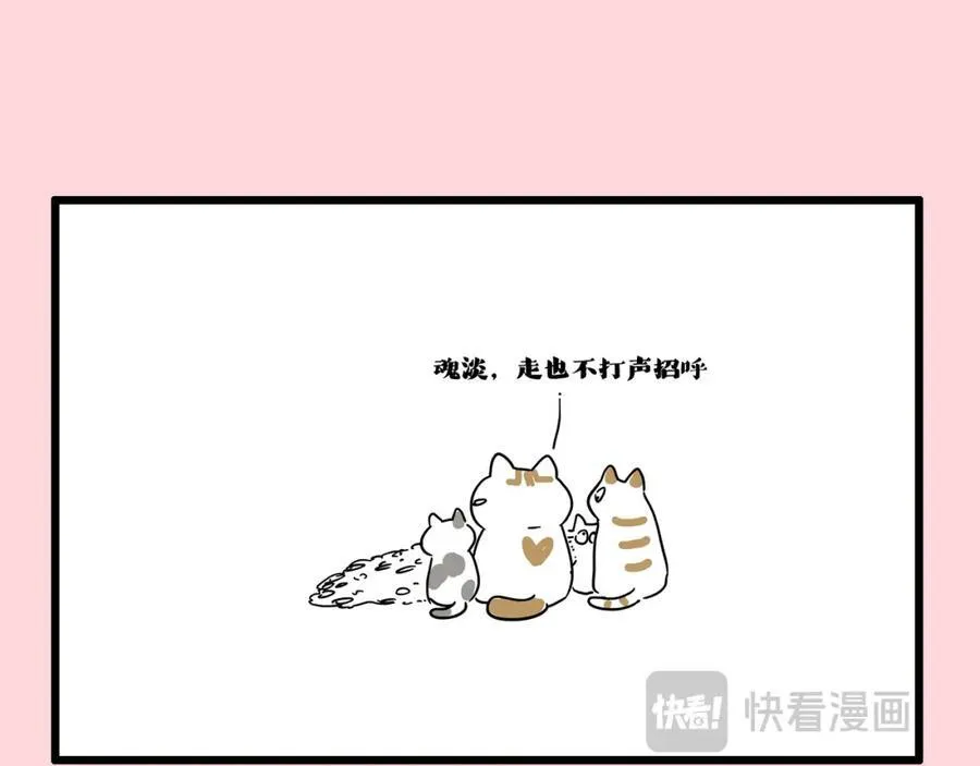 吾皇巴扎黑简介漫画,第413话 如果要离别3图