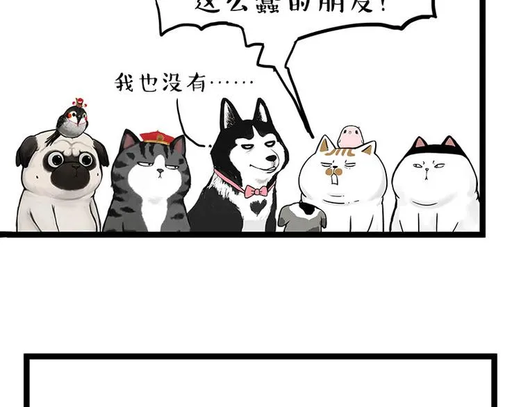 吾皇巴扎黑图片漫画,第269话 跟我回家吧1图