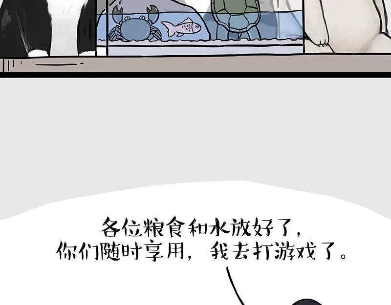 吾皇巴扎黑漫画,第298话 龟与狗与世界3图