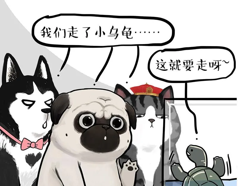 吾皇巴扎黑音乐盲盒漫画,第299话 真假虚实3图