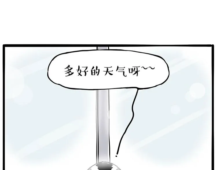 吾皇巴扎黑简介漫画,第270话 胖老猫你个大骗子！3图