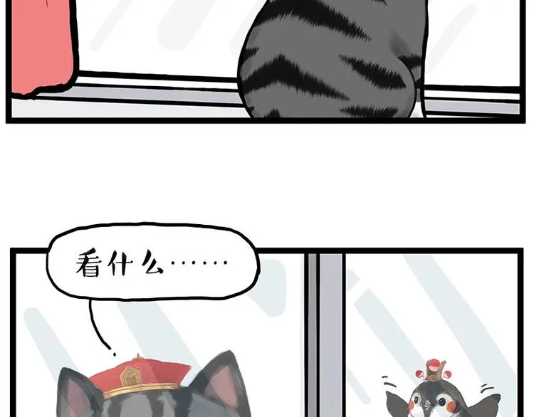 吾皇巴扎黑漫画,第277话 猫斗猫2图