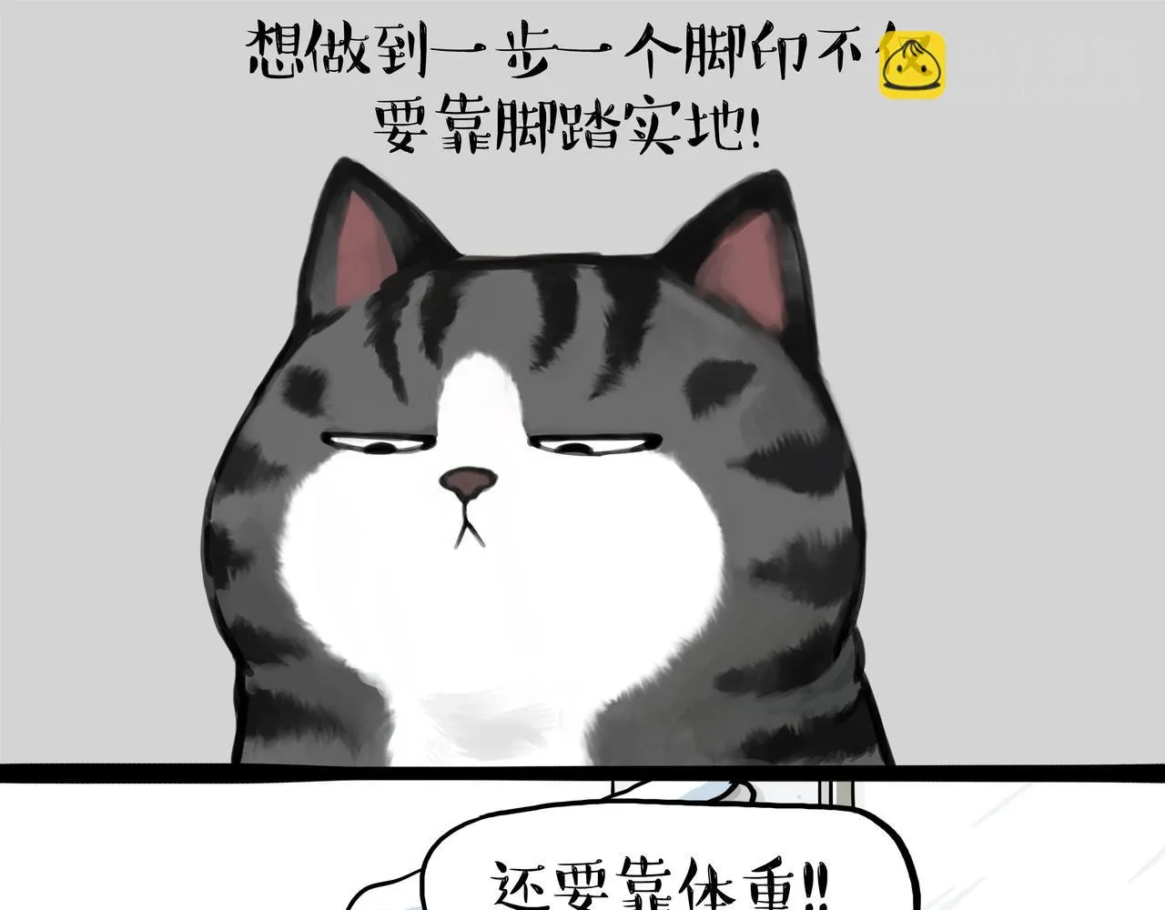 吾皇猫漫画,第362话 去找狗！2图