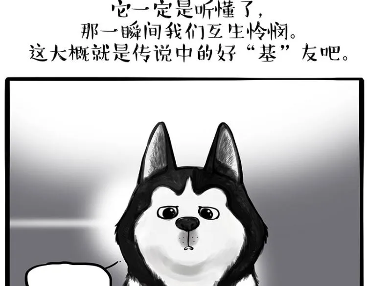 吾皇巴扎黑环游世界盲盒漫画,第287话 真假牛能？！2图