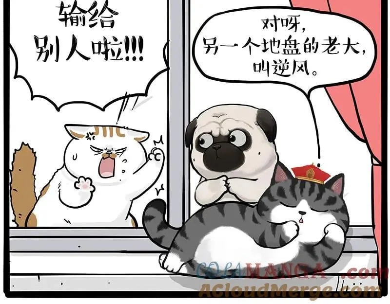 吾皇巴扎黑漫画大中华史2漫画,第445话 你就是傲霸？5图