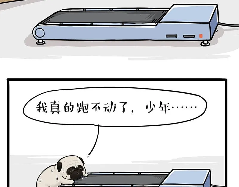 吾皇巴扎黑漫画,第329话 今天你锻炼了吗？4图