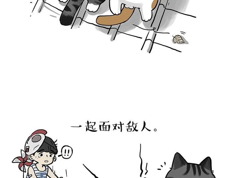 吾皇巴扎黑图片漫画,第269话 跟我回家吧3图