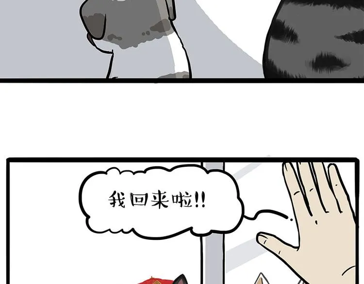 吾皇巴扎黑图片漫画,第269话 跟我回家吧3图