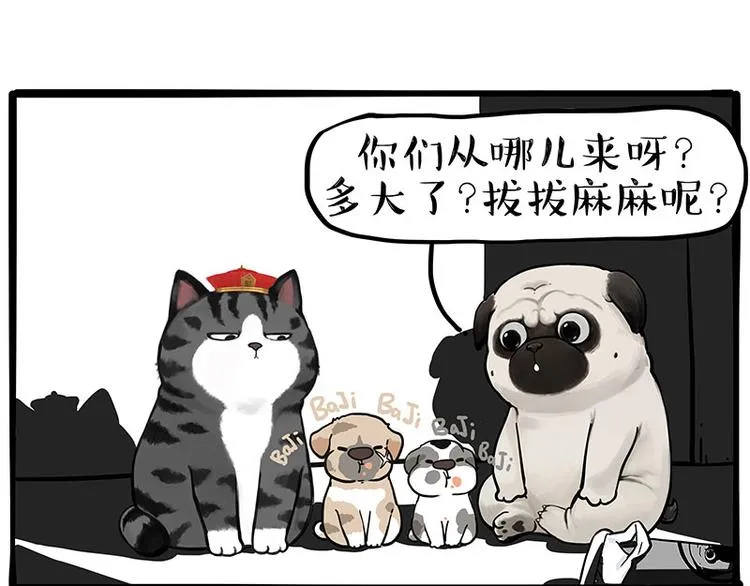 吾皇巴扎黑漫画,第267话 不让你流浪1图