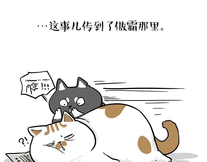 吾皇巴扎黑高清壁纸漫画,第365话 “神犬”巴扎黑4图