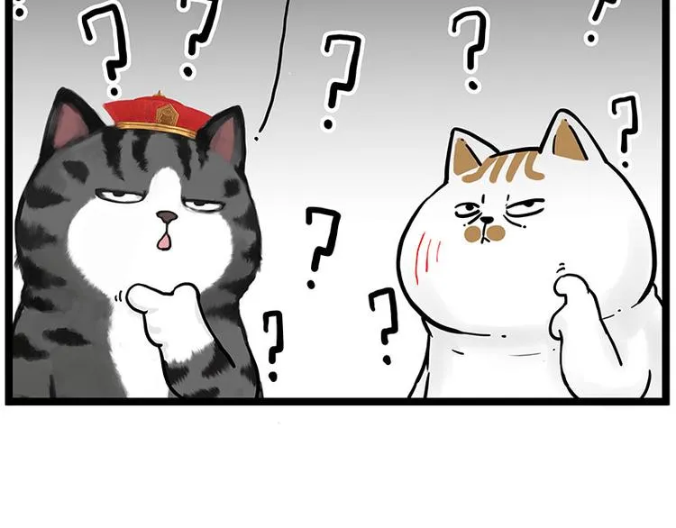 第277话 猫斗猫2