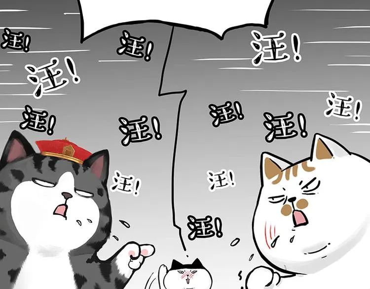 第277话 猫斗猫0