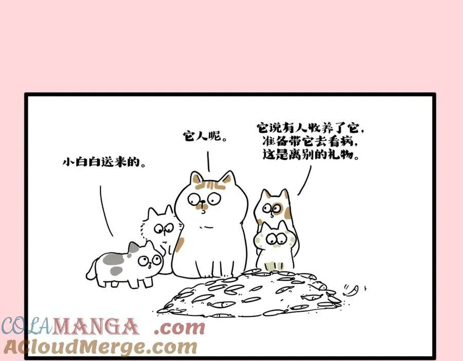 吾皇巴扎黑简介漫画,第413话 如果要离别1图