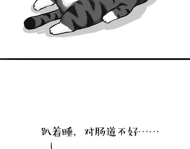 吾皇巴扎黑盲盒漫画,第311话 抓不住！5图