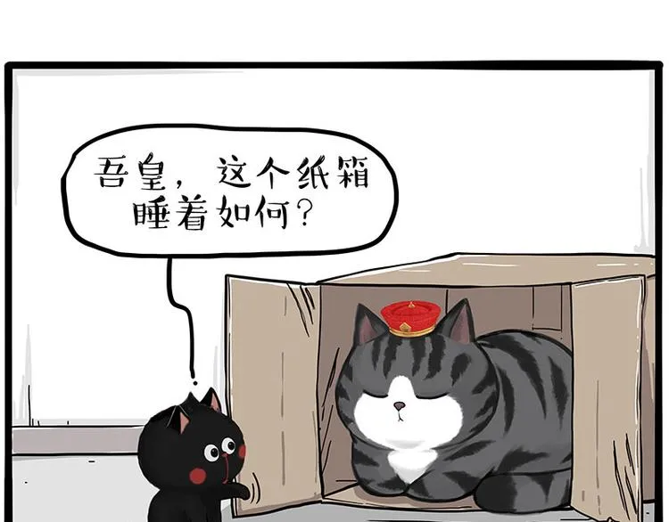 吾皇巴扎黑漫画书漫画,第282话 型男（猫）5图