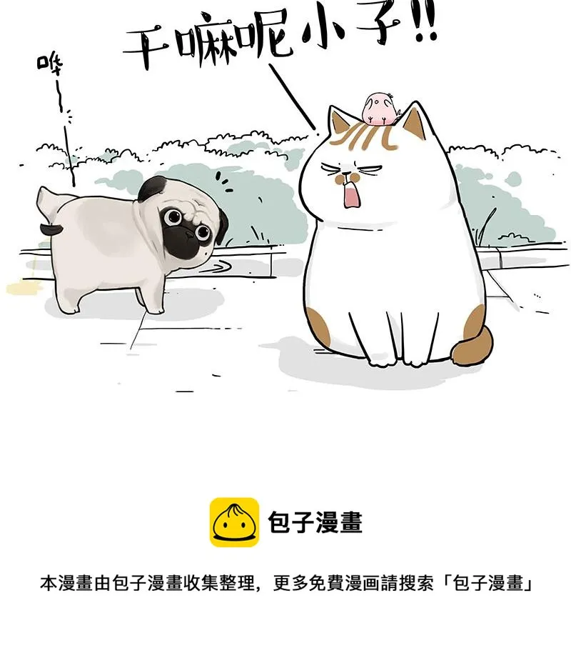 吾皇巴扎黑漫画,第317话 社交密码5图