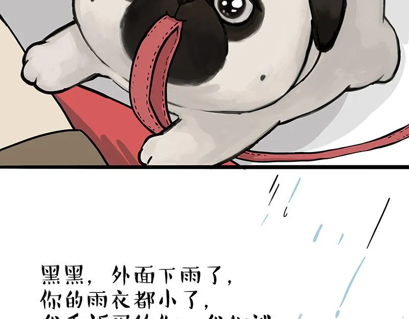 吾皇巴扎黑原型漫画,第304话 你是真的狗4图