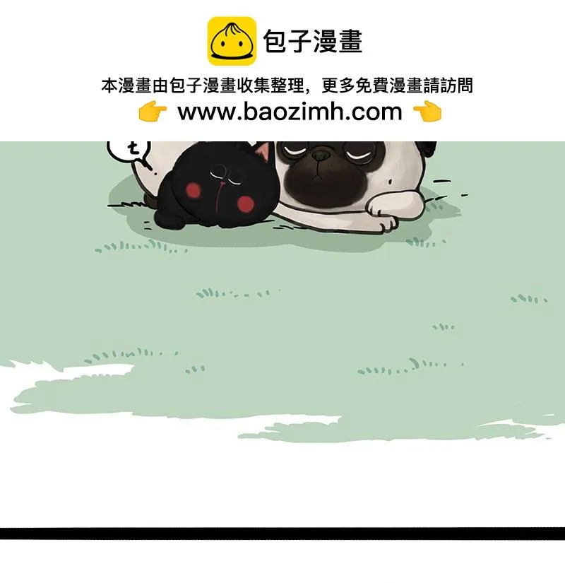 吾皇巴扎黑漫画,第370话 你就宠它吧2图