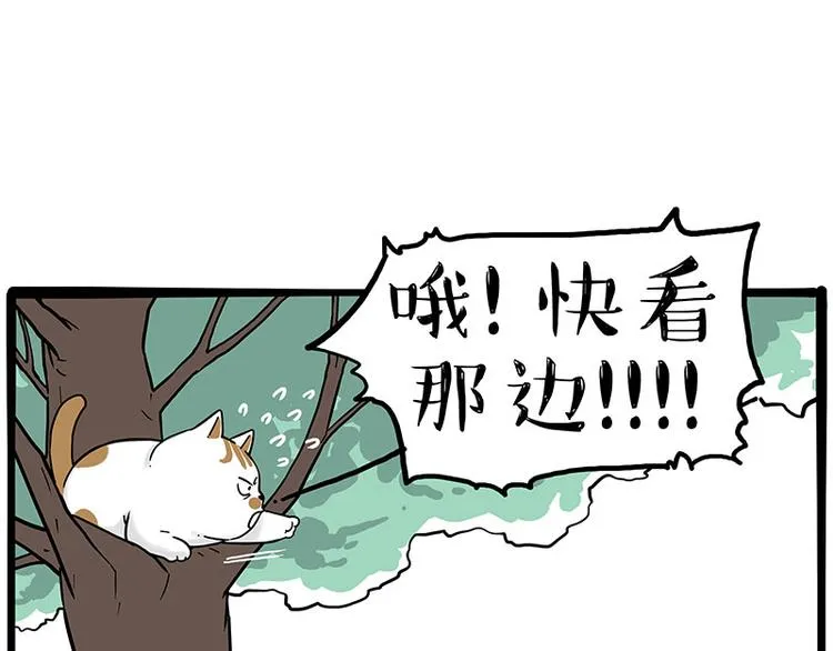 第270话 胖老猫你个大骗子！3