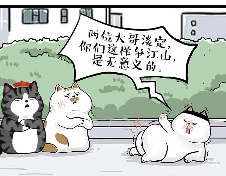 第277话 猫斗猫0