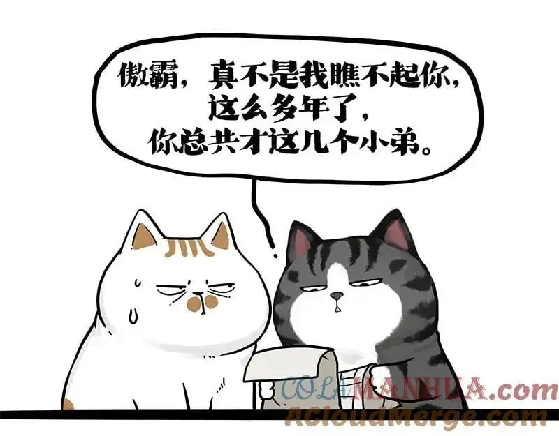 吾皇巴扎黑漫画,第404话 寻家计划1：啸天5图