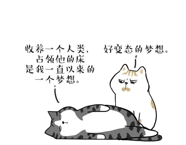 吾皇巴扎黑音乐盲盒漫画,第291话 好兄弟，一辈子5图