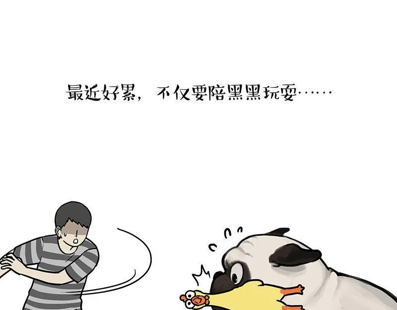 吾皇巴扎黑表情包漫画,第447话 消息盲盒2图