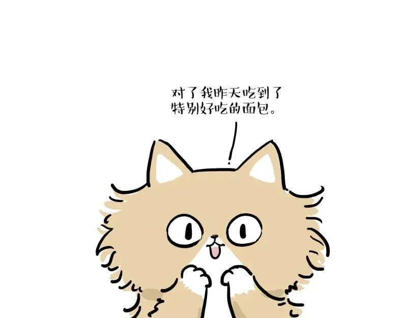 第424话 话痨小猫2