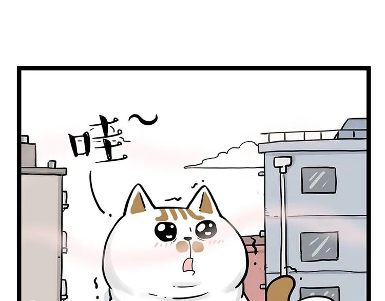 吾皇巴扎黑壁纸漫画,第284话 美喵竟是我自己5图