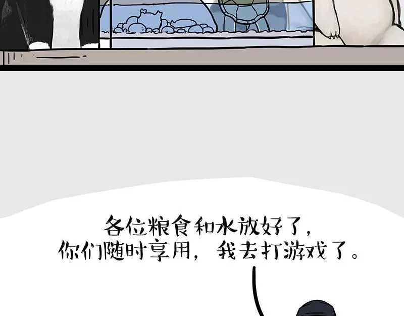 吾皇巴扎黑漫画,第299话 真假虚实4图