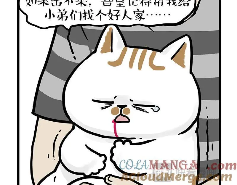 吾皇巴扎黑老爹的花瓶漫画,第440话 不要开这种玩笑2图