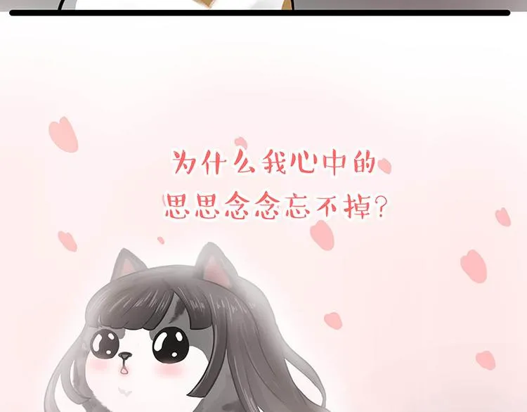 吾皇巴扎黑壁纸漫画,第284话 美喵竟是我自己5图