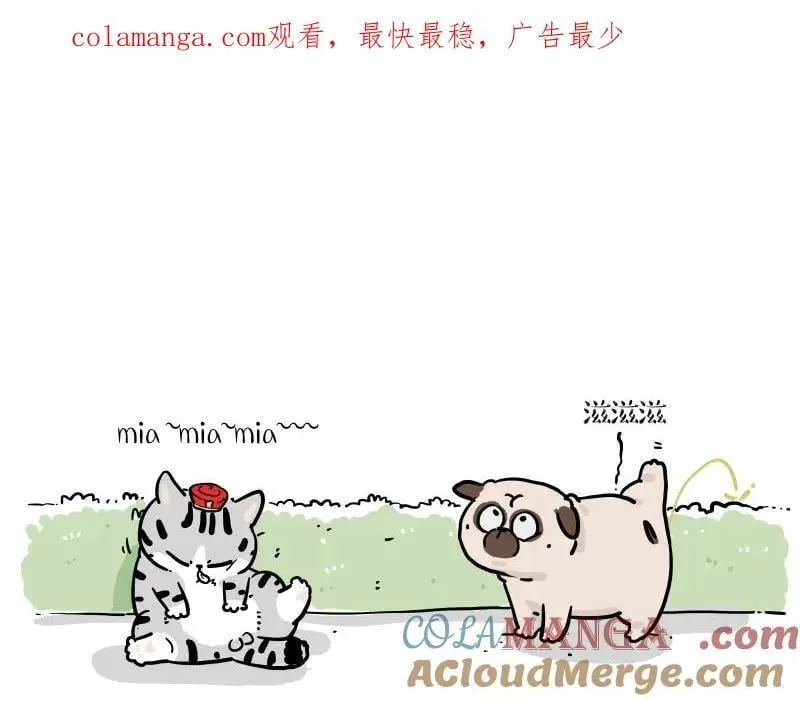 吾皇巴扎黑漫画,第424话 话痨小猫1图