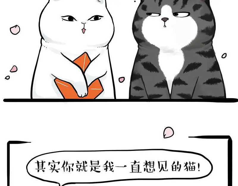 吾皇巴扎黑头像漫画,第323话 春日恋情？！4图