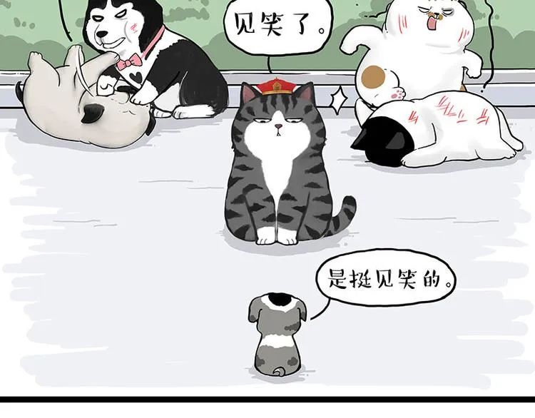 吾皇巴扎黑图片漫画,第269话 跟我回家吧1图