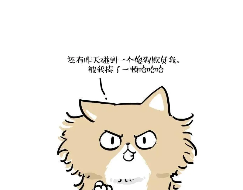 第424话 话痨小猫4