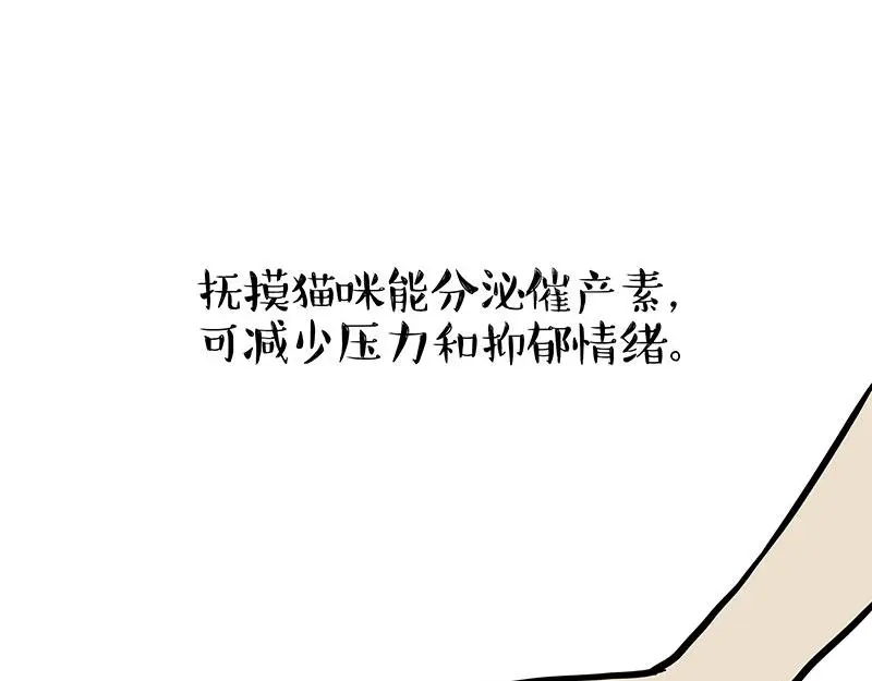 吾皇巴扎黑漫画,第333话 养啥好？1图