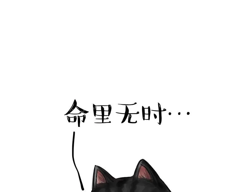 吾皇巴扎黑漫画书漫画,第349话 养只猫吧1图