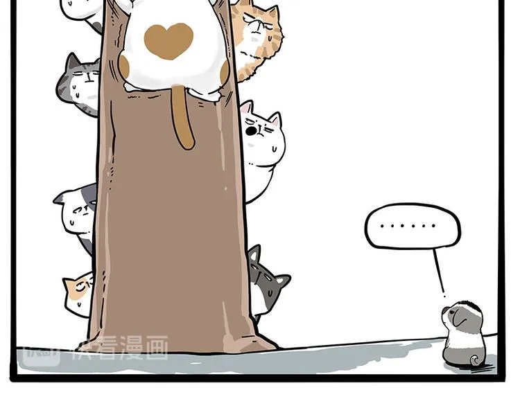 吾皇巴扎黑全集漫画,第271话 进击的流浪猫！5图