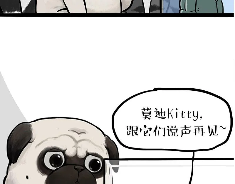 吾皇巴扎黑音乐盲盒漫画,第299话 真假虚实4图