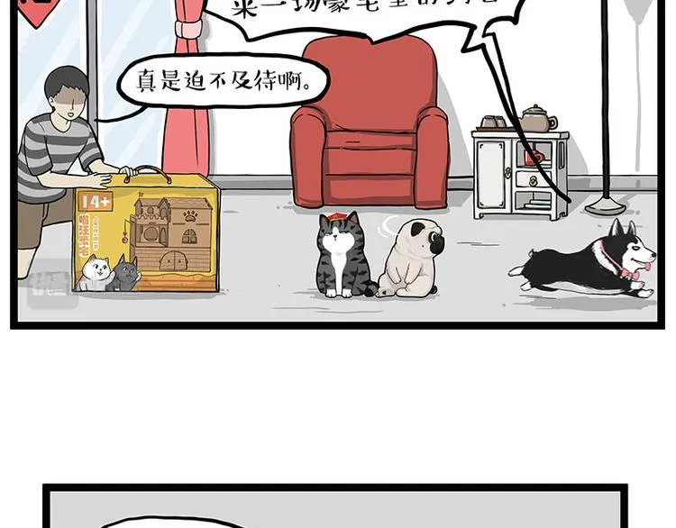 吾皇巴扎黑漫画,第283话 三角恋1图