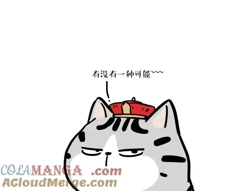 第424话 话痨小猫2