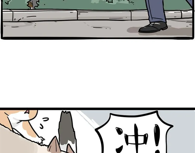 吾皇巴扎黑漫画,第290话 凶恶猫猫组织4图