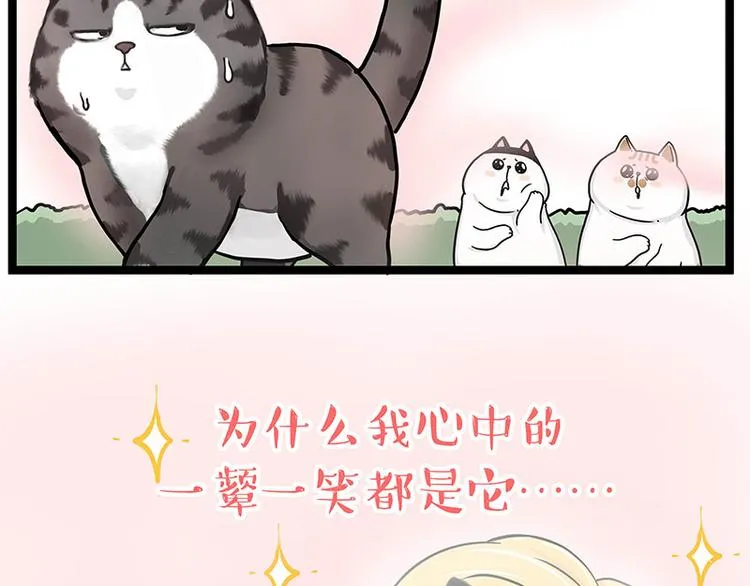 吾皇巴扎黑壁纸漫画,第284话 美喵竟是我自己3图