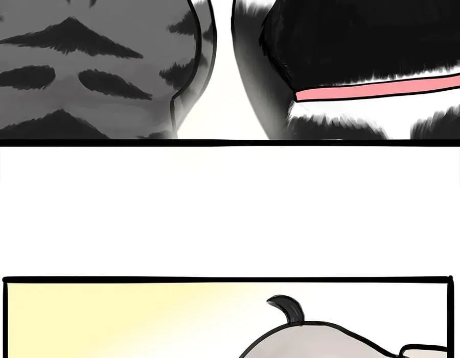 吾皇巴扎黑漫画,第444话 定！1图