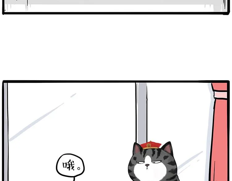 吾皇巴扎黑图片漫画,第269话 跟我回家吧1图