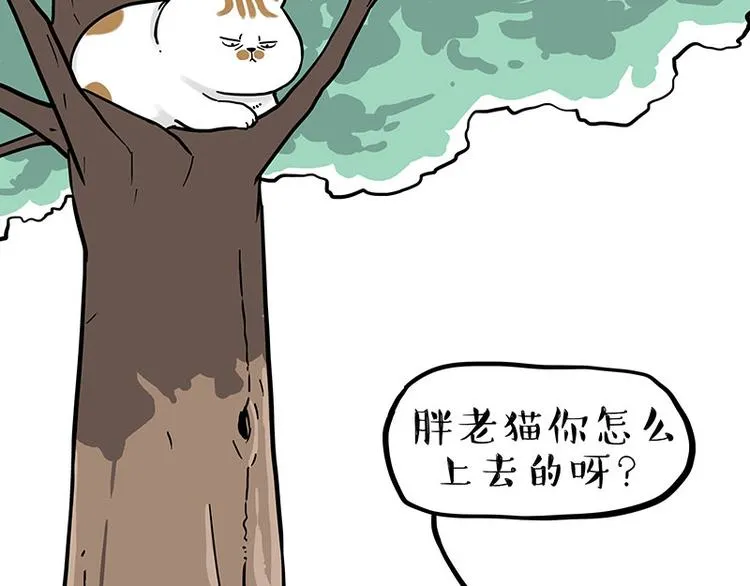 第270话 胖老猫你个大骗子！1