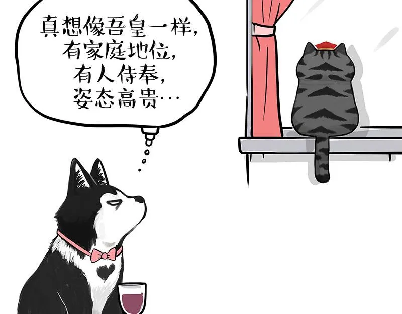 吾皇巴扎黑漫画,第343话 喵生哲学3图